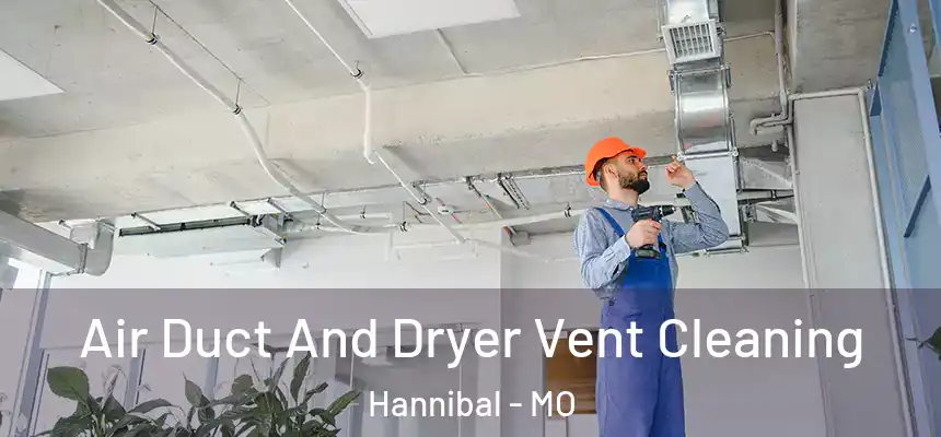  Air Duct And Dryer Vent Cleaning Hannibal - MO