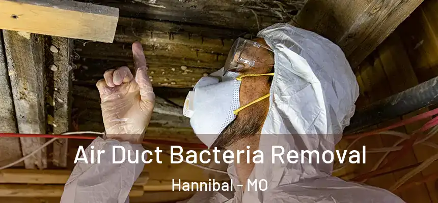  Air Duct Bacteria Removal Hannibal - MO