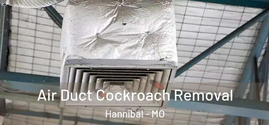  Air Duct Cockroach Removal Hannibal - MO