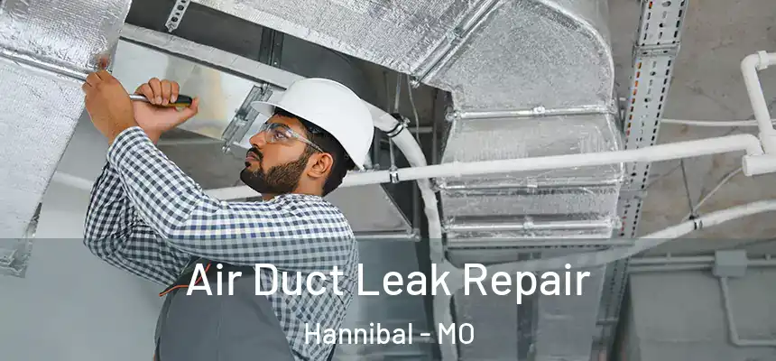  Air Duct Leak Repair Hannibal - MO