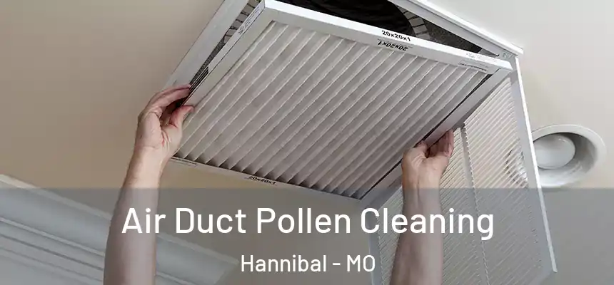  Air Duct Pollen Cleaning Hannibal - MO