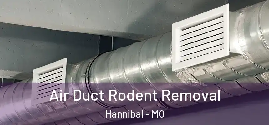  Air Duct Rodent Removal Hannibal - MO