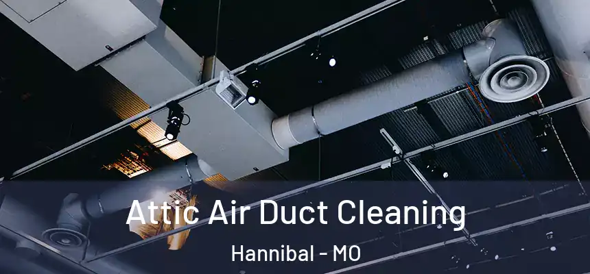  Attic Air Duct Cleaning Hannibal - MO