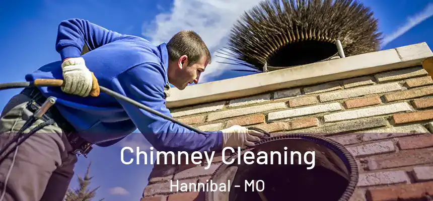  Chimney Cleaning Hannibal - MO