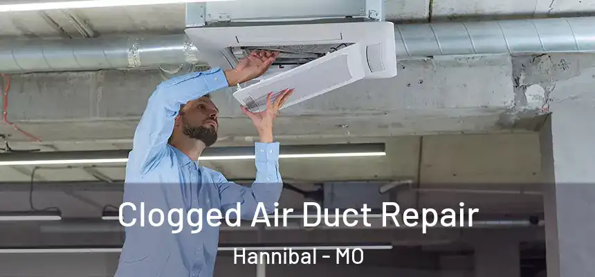  Clogged Air Duct Repair Hannibal - MO
