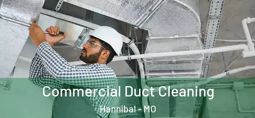 Commercial Duct Cleaning Hannibal - MO