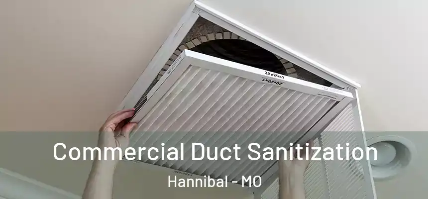 Commercial Duct Sanitization Hannibal - MO