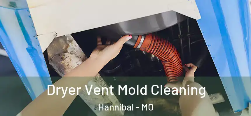  Dryer Vent Mold Cleaning Hannibal - MO