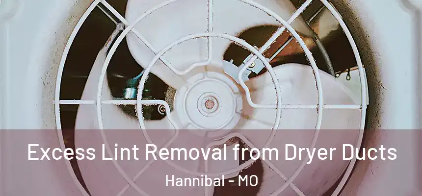  Excess Lint Removal from Dryer Ducts Hannibal - MO