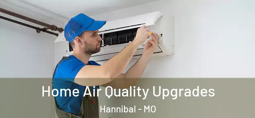  Home Air Quality Upgrades Hannibal - MO