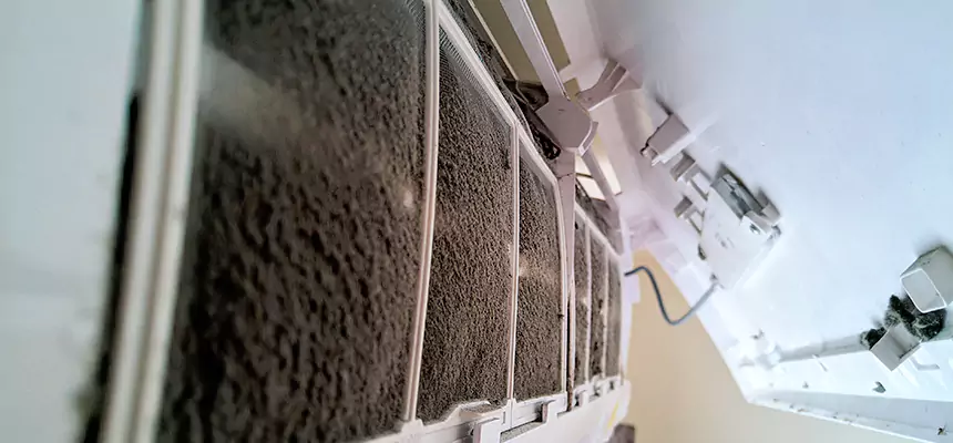 Preventive Air Duct Bacteria Removal in Hannibal