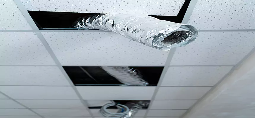 Our Air Duct Pet Hair Removal Services in Hannibal, MO