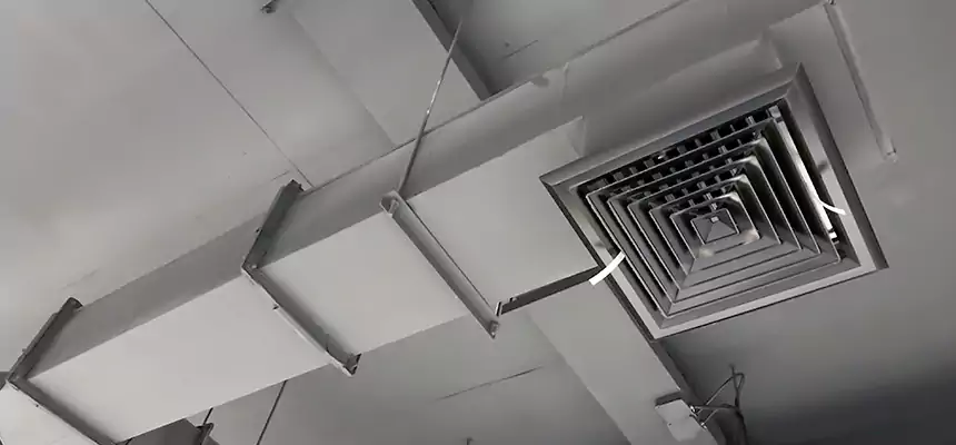 Our Rodent Droppings In Vents Services in Hannibal, MO