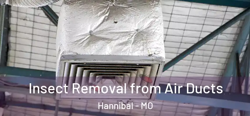  Insect Removal from Air Ducts Hannibal - MO