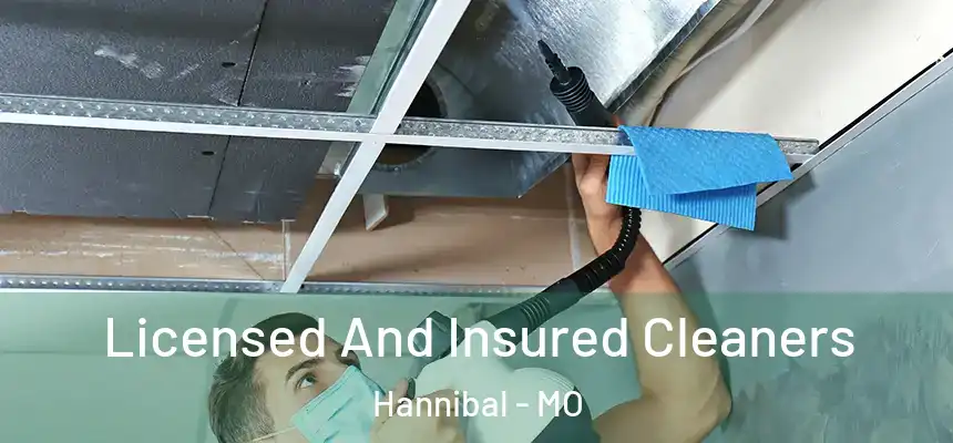  Licensed And Insured Cleaners Hannibal - MO