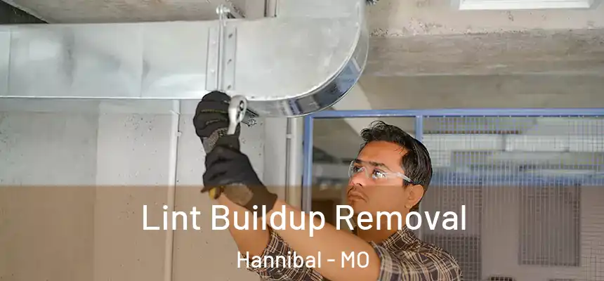  Lint Buildup Removal Hannibal - MO
