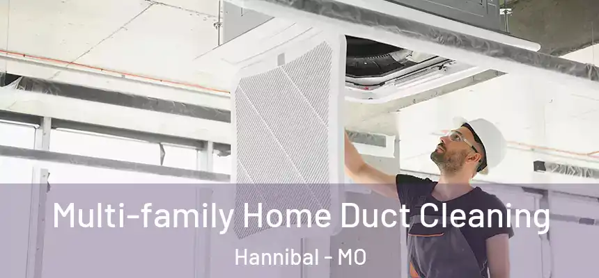  Multi-family Home Duct Cleaning Hannibal - MO