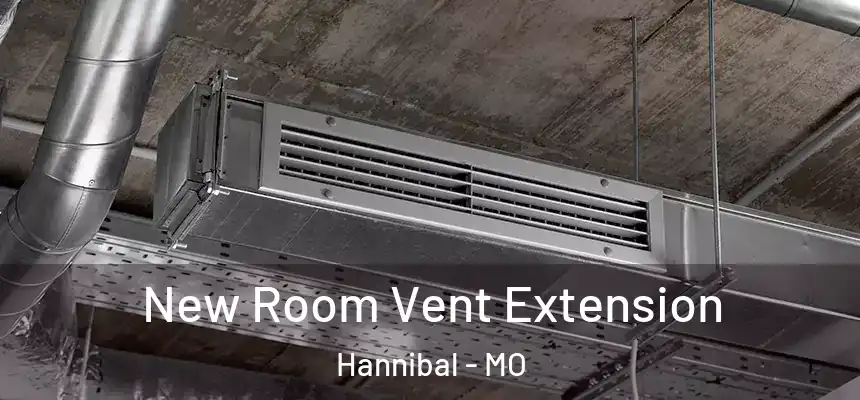  New Room Vent Extension Hannibal - MO