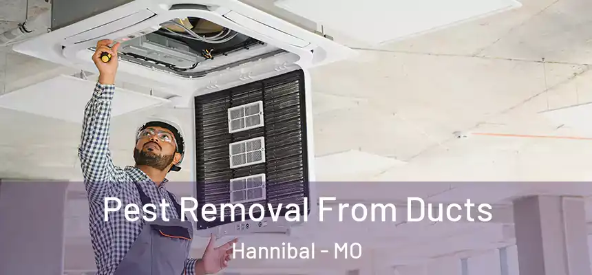  Pest Removal From Ducts Hannibal - MO