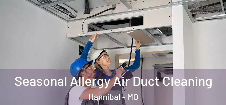  Seasonal Allergy Air Duct Cleaning Hannibal - MO