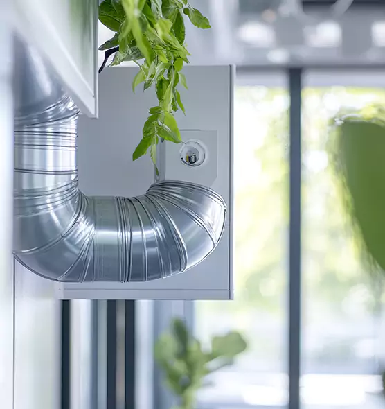 Professional Eco-Safe Dryer Vent Cleaning in Hannibal, MO