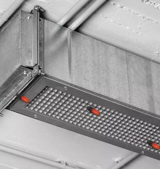 Affordable Insect Removal from Air Ducts in Hannibal, MO