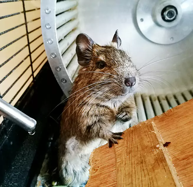 Why Homeowners & Businesses Trust Us Hannibal, MO