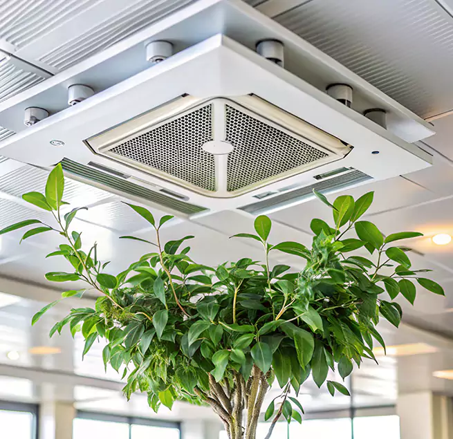 Why Homeowners & Businesses Trust Us in Hannibal, MO