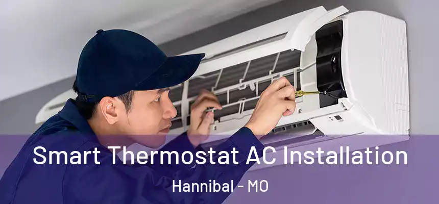  Smart Thermostat AC Installation Hannibal - MO