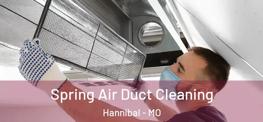  Spring Air Duct Cleaning Hannibal - MO