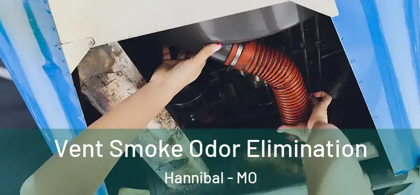  Vent Smoke Odor Elimination Hannibal - MO