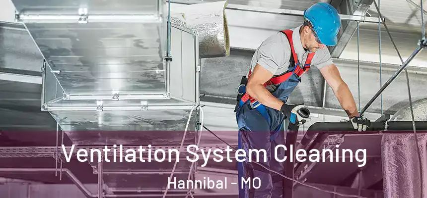  Ventilation System Cleaning Hannibal - MO