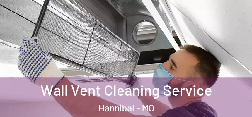  Wall Vent Cleaning Service Hannibal - MO
